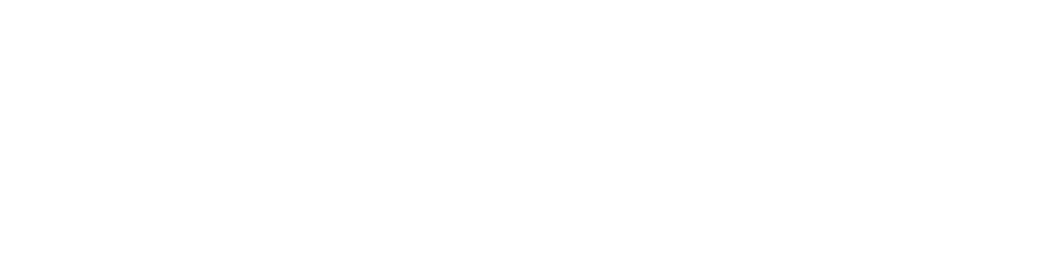 GI Alliance of Illinois: Lincoln Park